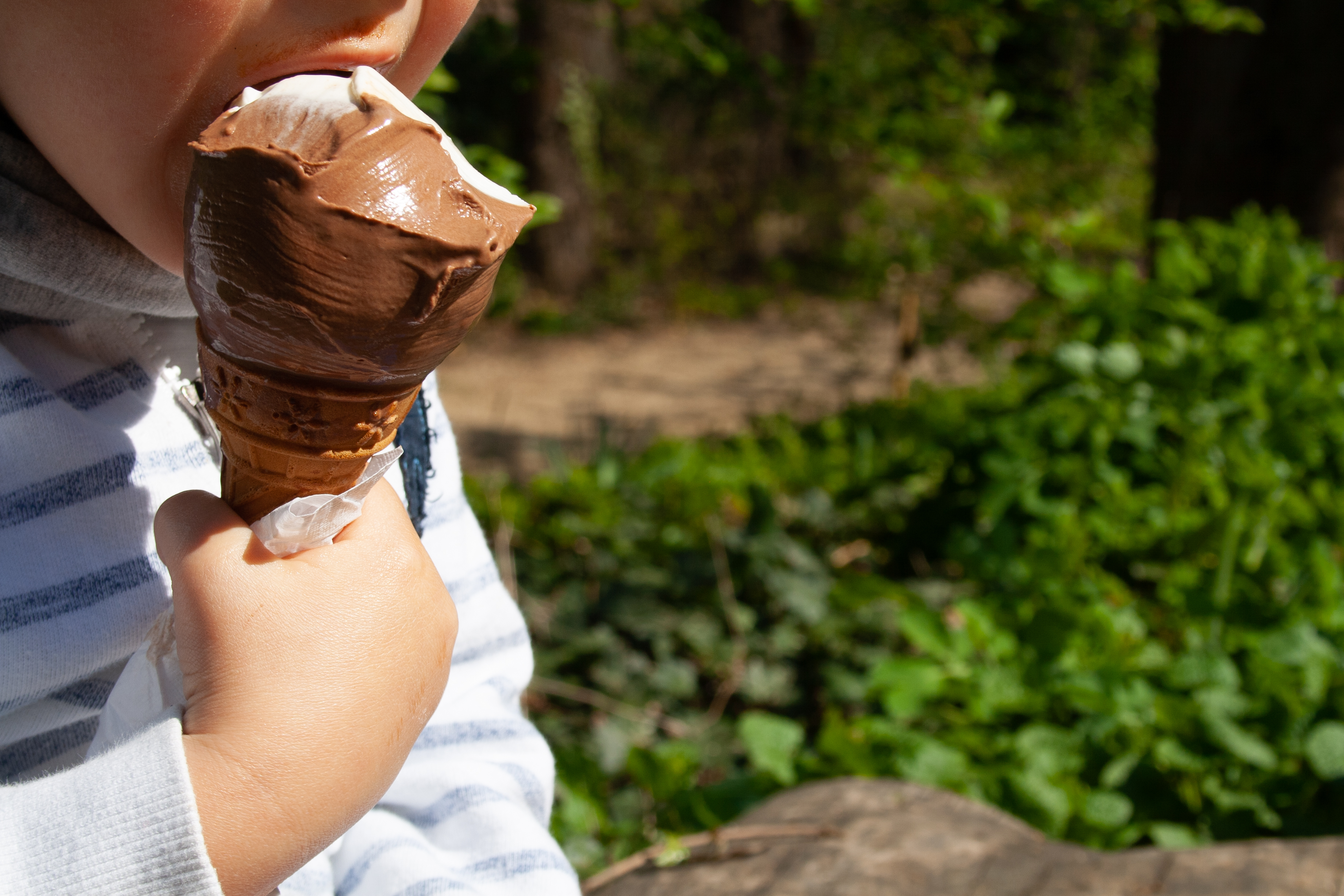Verdades del consumo de azúcar en los niños